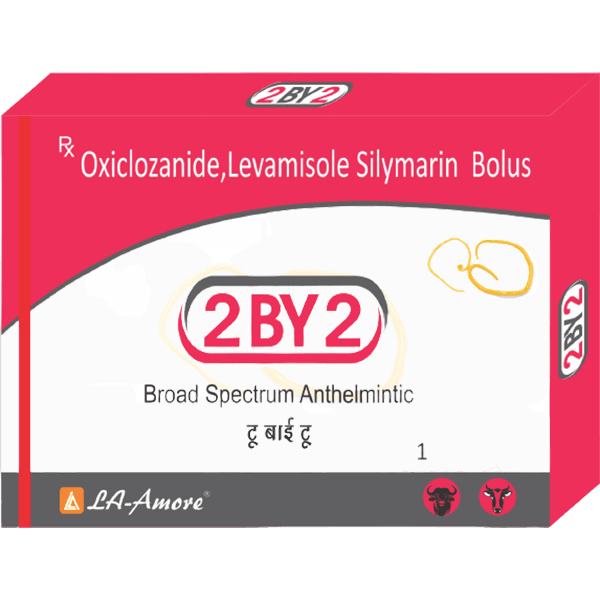 2BY2 Bolus