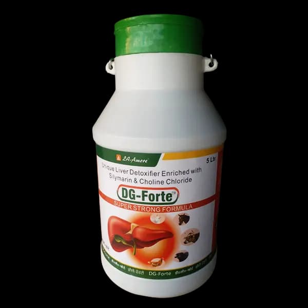 DG Forte