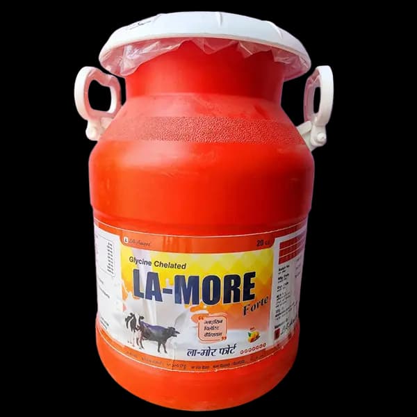 LA-Amore Forte