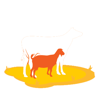 la-amode animal health care
